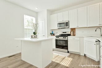 1004 Neubauer Circle in Lindenhurst, IL - Building Photo - Building Photo