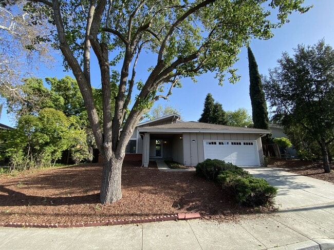 7119 Bret Harte Dr in San Jose, CA - Building Photo - Building Photo
