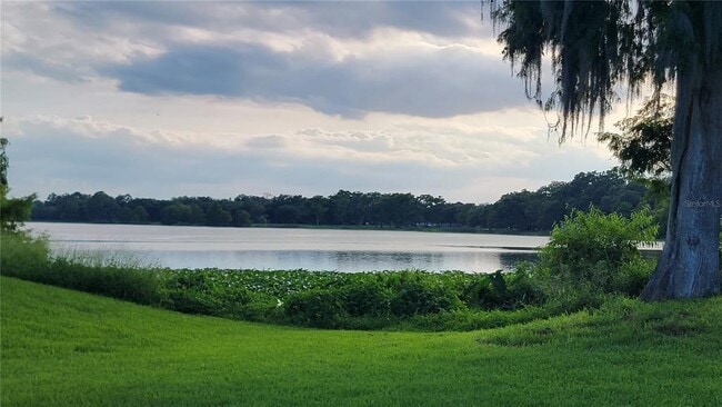 property at 4023 Versailles Dr