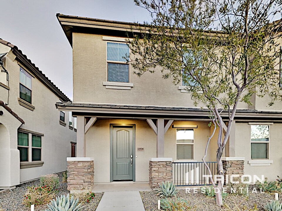 12539 W Hummingbird Terrace in Peoria, AZ - Building Photo