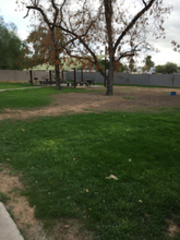 2627 N 27th St in Phoenix, AZ - Building Photo - Building Photo