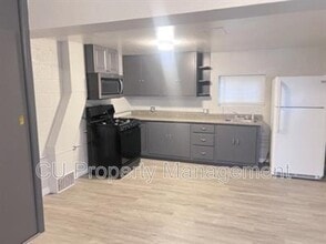 313 Cottage Ct in Champaign, IL - Building Photo - Building Photo