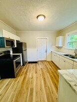 423 Leonard St NE in Grand Rapids, MI - Building Photo