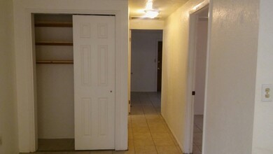 1316 Sunset Point Rd in Clearwater, FL - Building Photo - Building Photo
