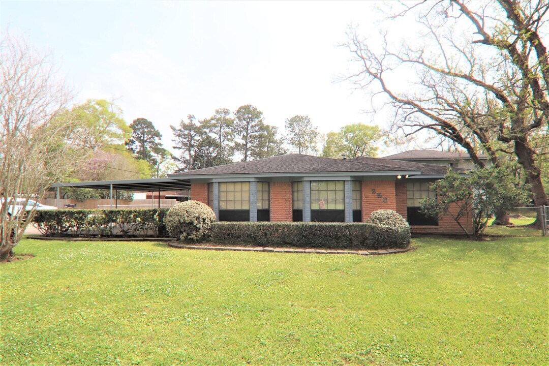 250 Sawmill Rd in Vidor, TX - Building Photo