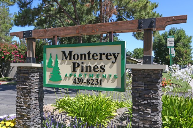 Monterey Pines Apartments in Fresno, CA - Building Photo - Building Photo