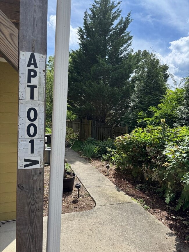 27 Clemmons St in Asheville, NC - Building Photo - Building Photo