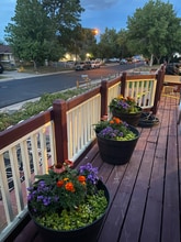 9780 W Dakota Ave in Lakewood, CO - Building Photo - Building Photo