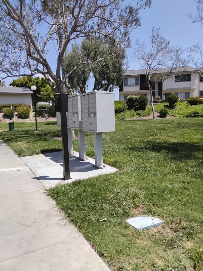 3508 Driftwood Pl in Oceanside, CA - Foto de edificio - Building Photo
