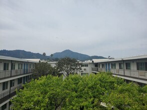 Newly Renovated Corte Madera Two Bedroom with Pool, Elevator, AC in Corte Madera, CA - Building Photo - Interior Photo