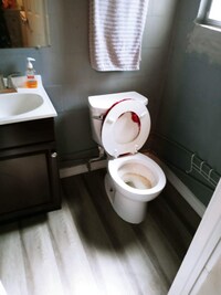 16 Flamevine Ln photo'