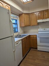 4123 SW 15 Pl in Gainesville, FL - Building Photo - Building Photo