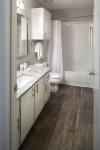 Broadstone Briar Forest photo'