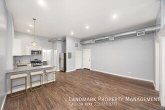1848 S Blue Island Ave in Chicago, IL - Building Photo - Building Photo