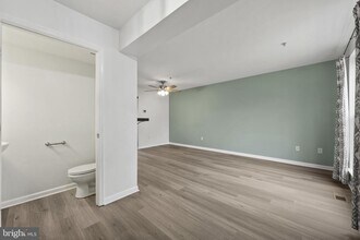 703 Horse Chestnut Ct in Odenton, MD - Building Photo - Building Photo