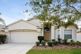 3056 Clover Blossom Cir in Land O Lakes, FL - Building Photo