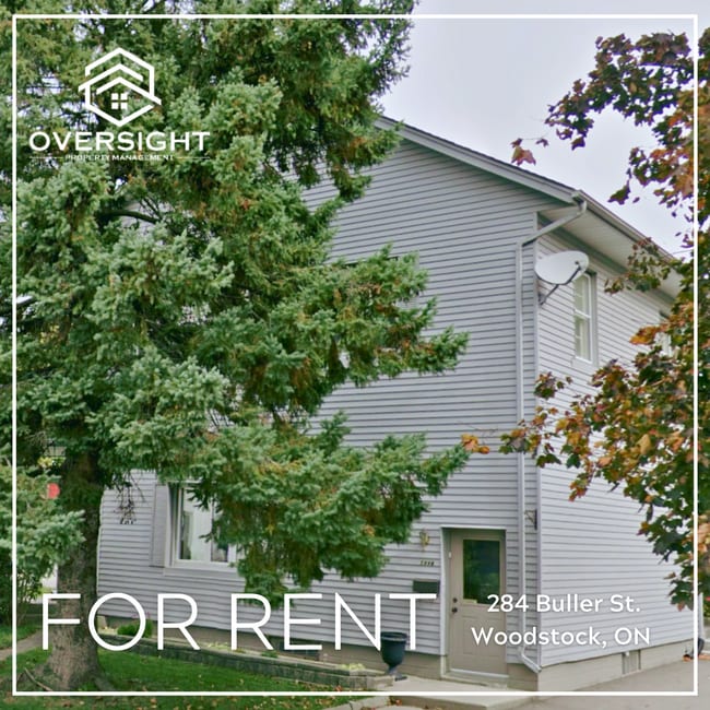 property at 284 Buller St