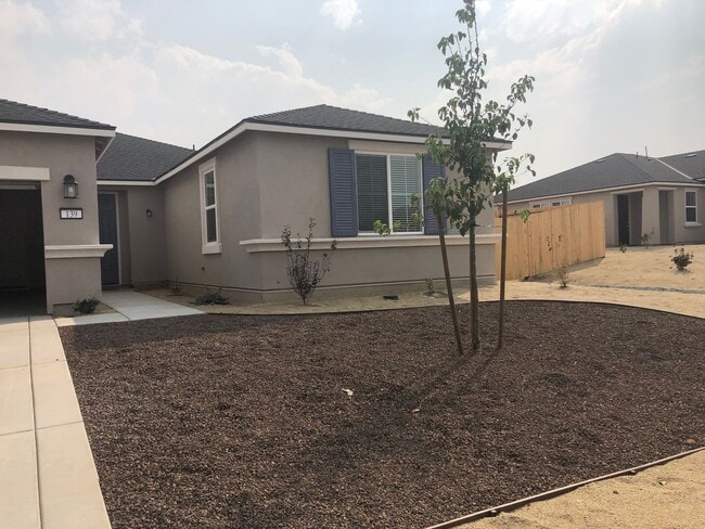 139 San Joaquin Dr in Dayton, NV - Building Photo - Building Photo