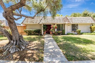 4619 Black River Ct in San Jose, CA - Building Photo