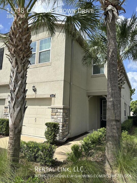 11738 Cambium Crown Dr in Riverview, FL - Building Photo