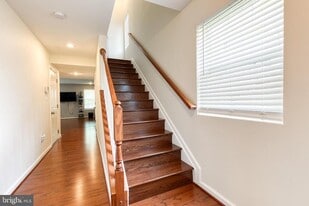513 Bluffton Dr in Glen Burnie, MD - Building Photo