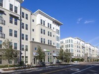 Building Photo - The Ivy Residences at Health Village Apartments in Orlando, Florida
