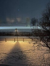 804 Summer Hawk Dr in Longmont, CO - Building Photo - Building Photo