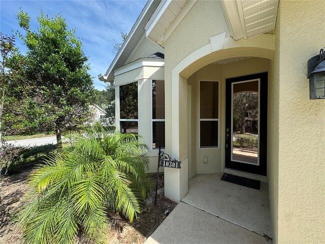 10301 Pebblestone Ct in Leesburg, FL - Building Photo - Building Photo