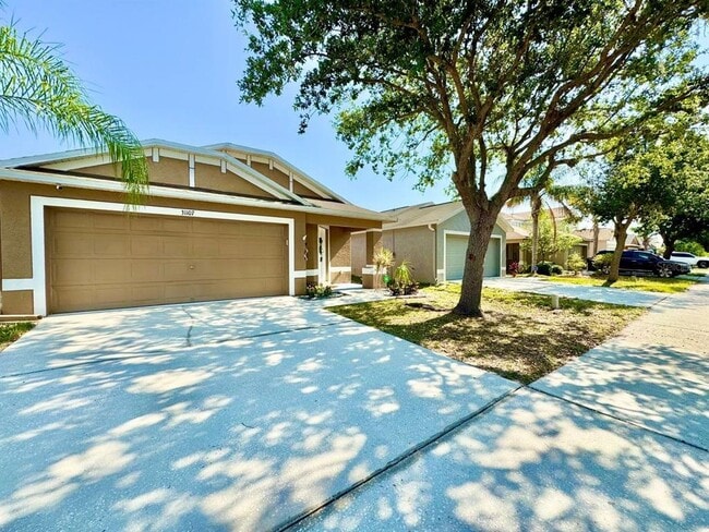 31107 Masena Dr in Wesley Chapel, FL - Building Photo - Building Photo