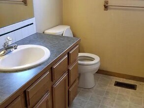 1509 Chickadee St in Loveland, CO - Building Photo - Building Photo