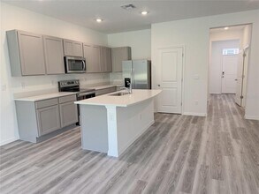 11372 Velvet Apricot Dr in Land O Lakes, FL - Building Photo - Building Photo