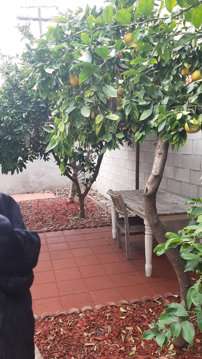 455 W Elk Ave, Unit A in Glendale, CA - Foto de edificio - Building Photo