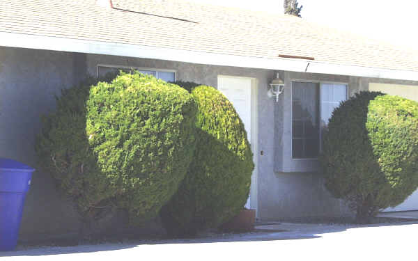 20961 Sioux Rd in Apple Valley, CA - Building Photo - Building Photo