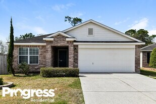 29006 Red River Loop in Spring, TX - Building Photo