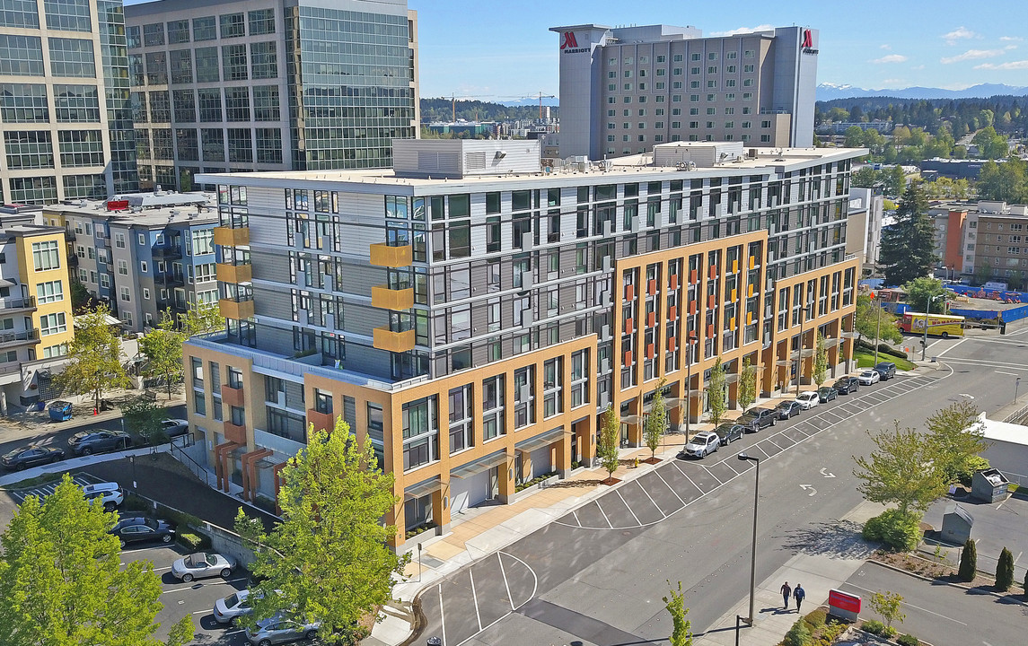 Stokely in Bellevue, WA - Foto de edificio