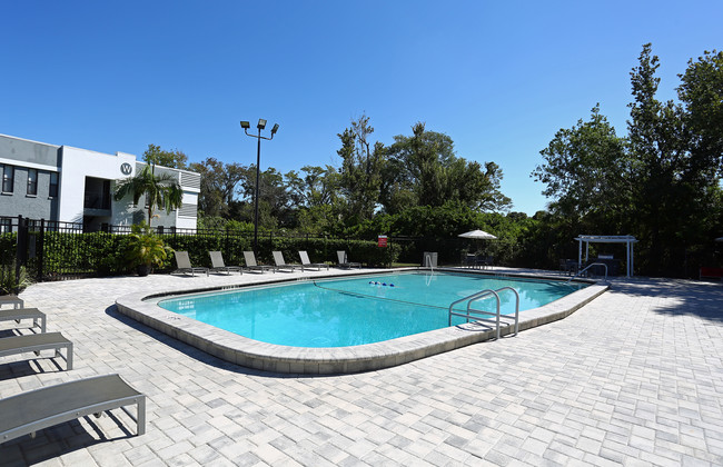 Contempo Lane in Dunedin, FL - Building Photo - Building Photo