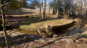 123 Chelsea Park in Madison, AL - Building Photo