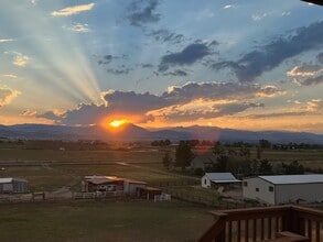 3317 Curlew Dr in Berthoud, CO - Building Photo - Building Photo
