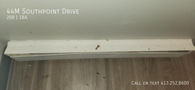 44 Southpoint Dr in Amherst, MA - Building Photo - Building Photo