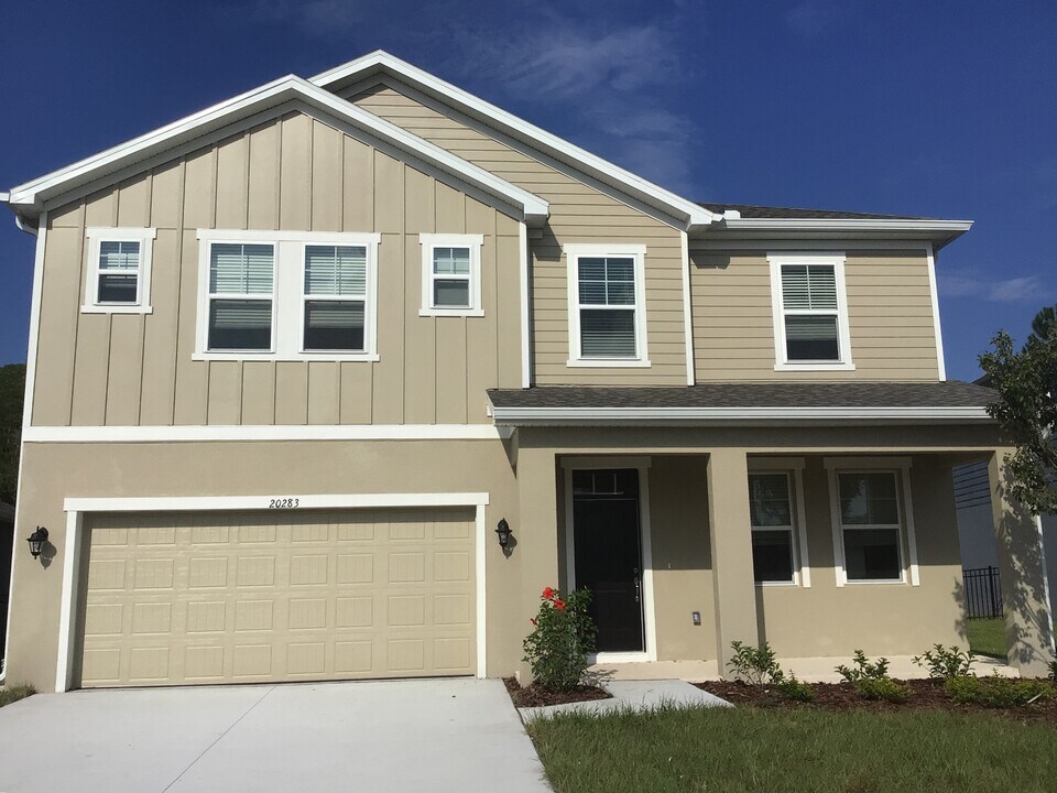 20283 Calla Lily Dr in Land O Lakes, FL - Building Photo