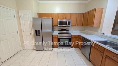 11051 Windsor Pl Cir in Tampa, FL - Building Photo - Building Photo