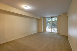 118 107th Ave NE in Bellevue, WA - Building Photo - Building Photo