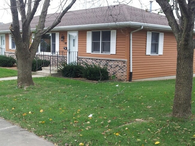 423 W 2nd Pl in Spring Valley, IL - Foto de edificio - Building Photo