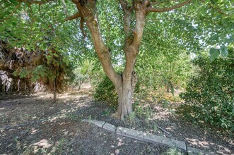 3518 E Clay Ave in Fresno, CA - Building Photo - Building Photo