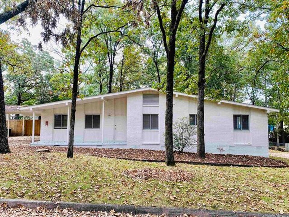 11313 Gila Valley Dr in Little Rock, AR - Foto de edificio