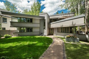 506 W Hallam St in Aspen, CO - Building Photo