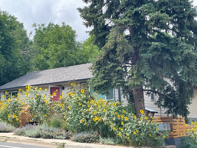 2531 9th St, Unit B in Boulder, CO - Foto de edificio - Building Photo