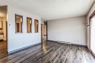 348 Terri Dr in Loveland, CO - Building Photo - Building Photo