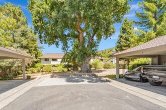 21 Woodstock Ct in San Rafael, CA - Building Photo - Building Photo