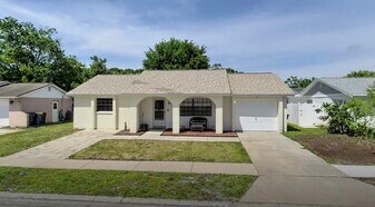 8115 Brown Pelican Ave in New Port Richey, FL - Building Photo